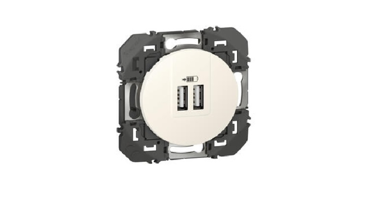 Legrand - Chargeur 2 USB Type-A 2,4A 5V= 12W Mosaic 2 Modules 230v Anthracite 00001096142